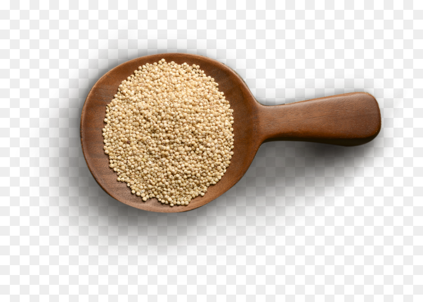 Pulse, HD Png Download - grains png