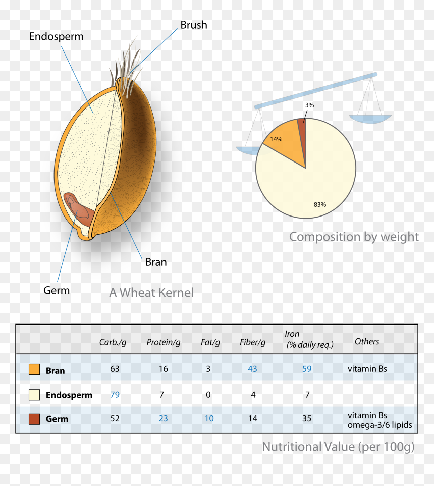 Whole Grains, HD Png Download - grains png