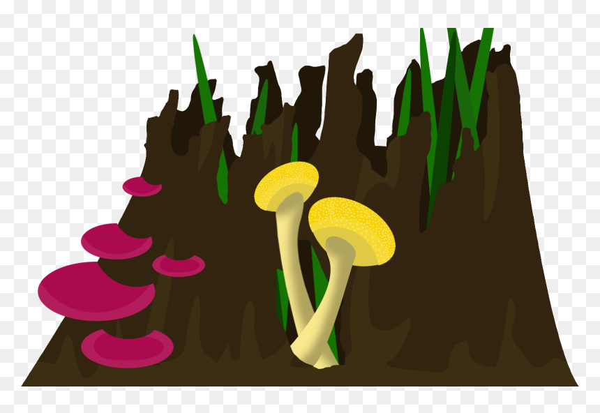 Illustration, HD Png Download - keemstar gnome png