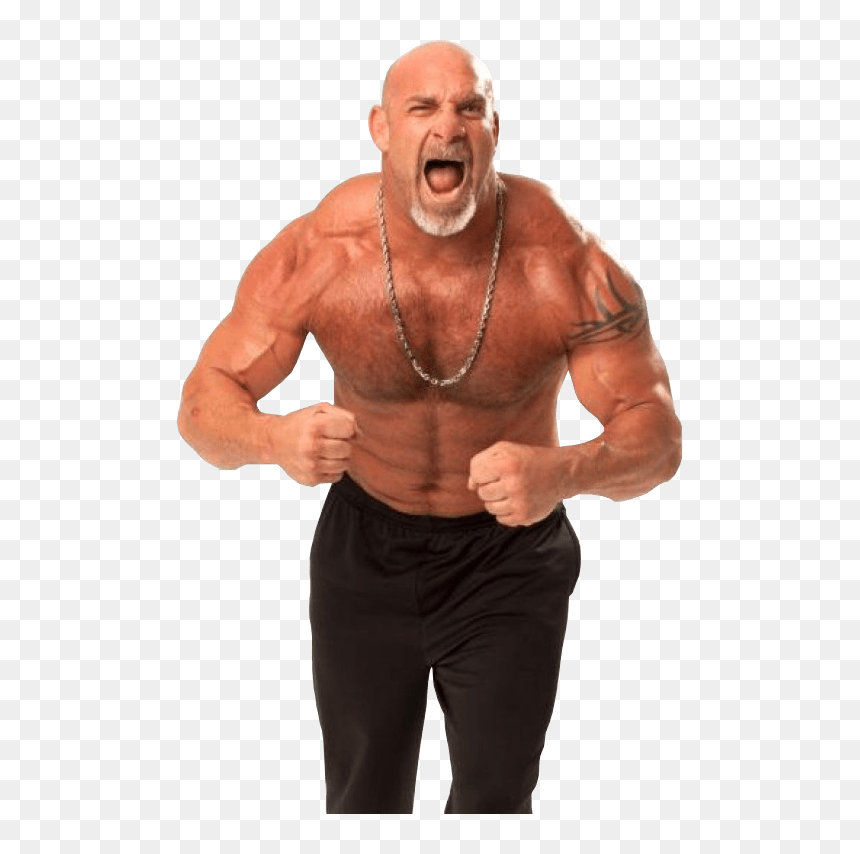 Bill Goldberg 2016, HD Png Download - fists png