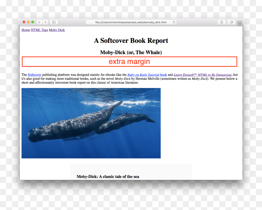 Grey Whale, HD Png Download - sperm whale png
