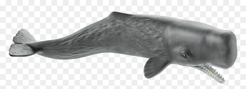 Schleich Sperm Whale, HD Png Download - sperm whale png