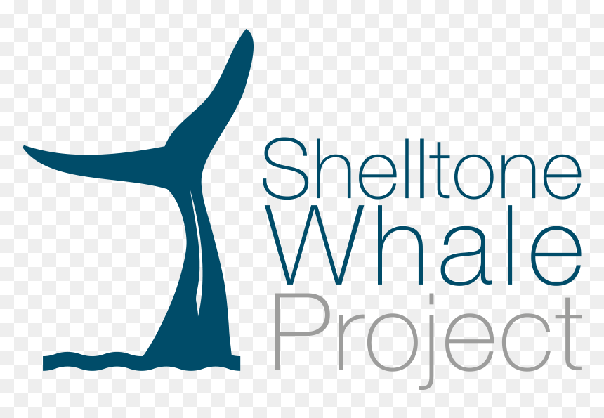 Clip Art, HD Png Download - sperm whale png