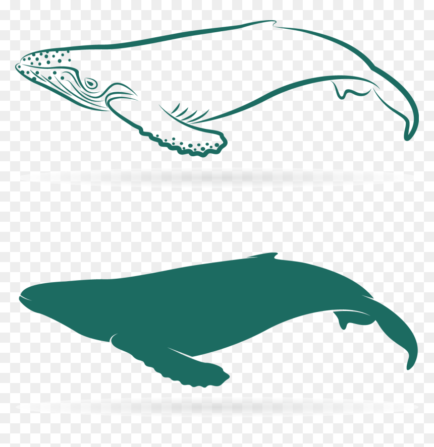 Clip Art, HD Png Download - sperm whale png