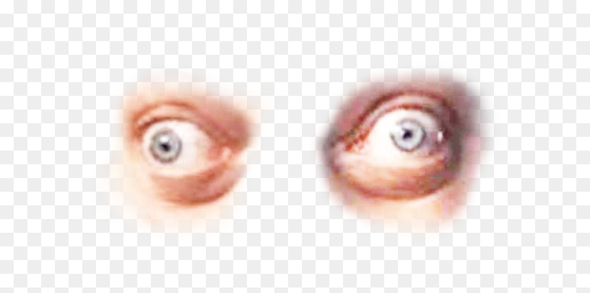 Close-up, HD Png Download - steve buscemi eyes png