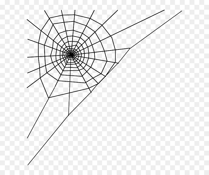 Spider Web Clip Art, HD Png Download - filigree line png