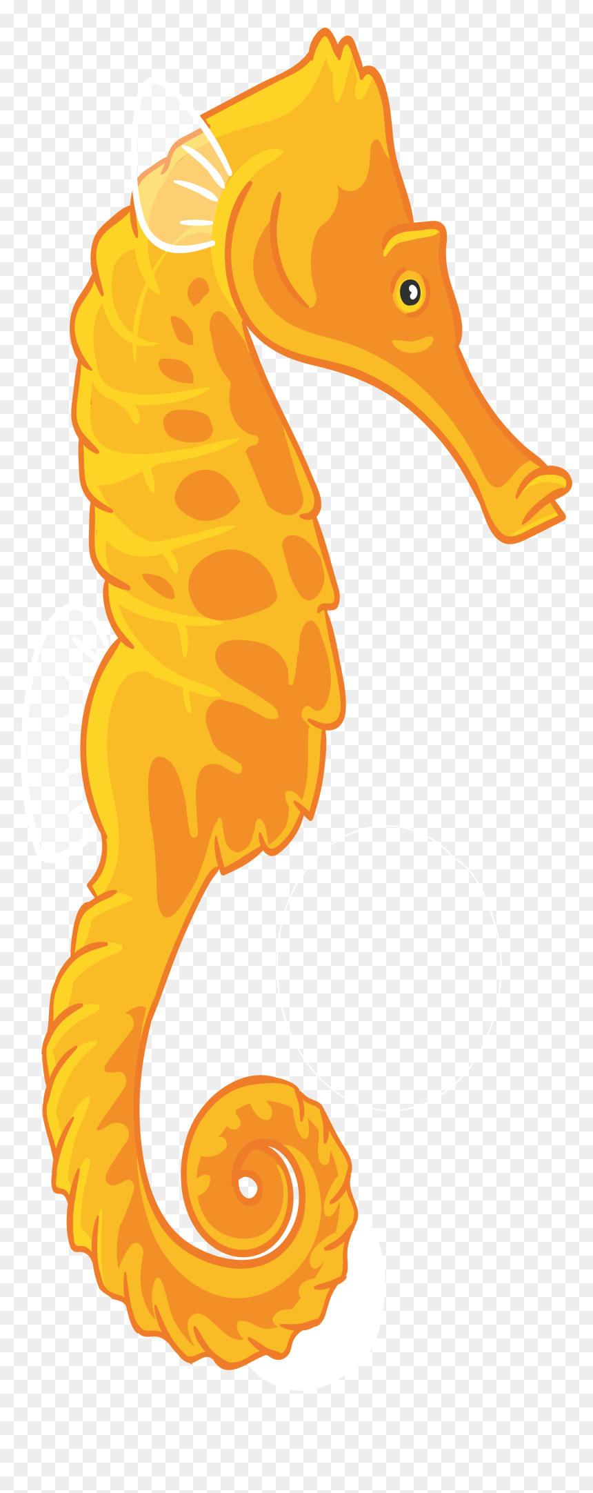 Cartoon Drawing At Getdrawings - Seahorse Clipart Transparent Background, HD Png Download - seahorse png