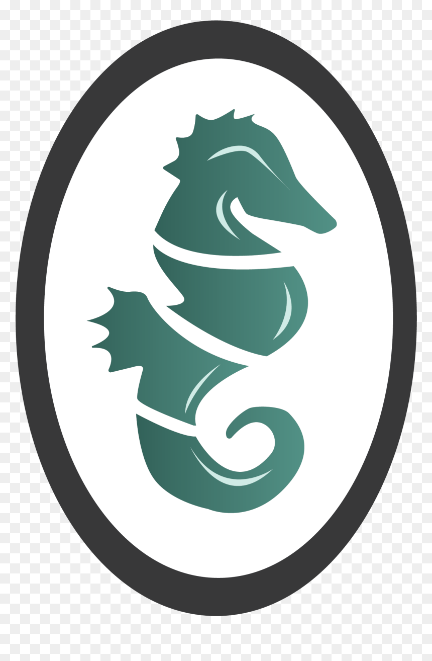 Northern Seahorse, HD Png Download - seahorse png