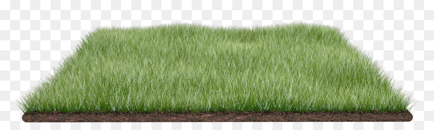 Grass Field Png Download Number - Paddy Field, Transparent Png - grass field png
