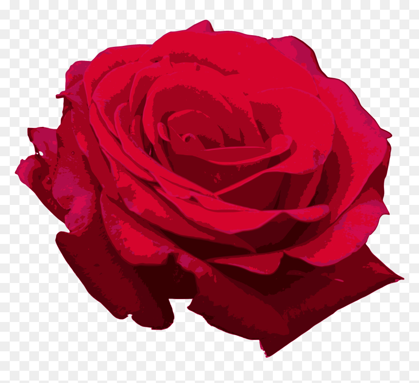 Red Roses Png - Red Watercolor Rose Png, Transparent Png - red roses png