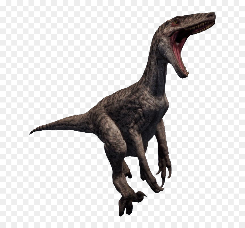 Thumb Image - Raptor Png, Transparent Png - raptor png