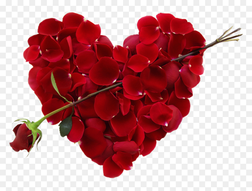 Heart Making With Rose Petal - Hearts For Valentine's Day, HD Png Download - rose petal png
