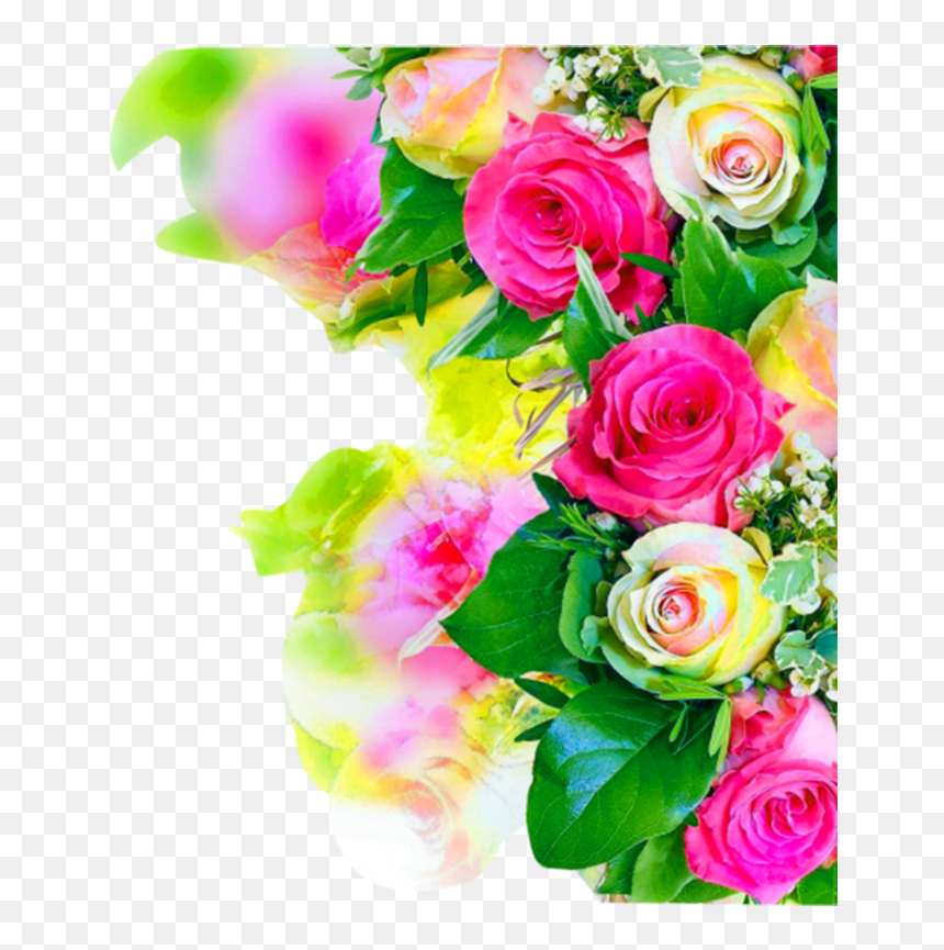 Thumb Image - Flower Images Hd Png, Transparent Png - rose petal png