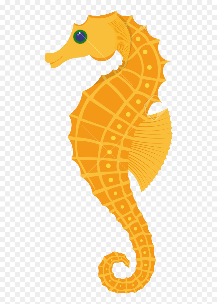 Seahorse Vector Illustration, HD Png Download - seahorse png