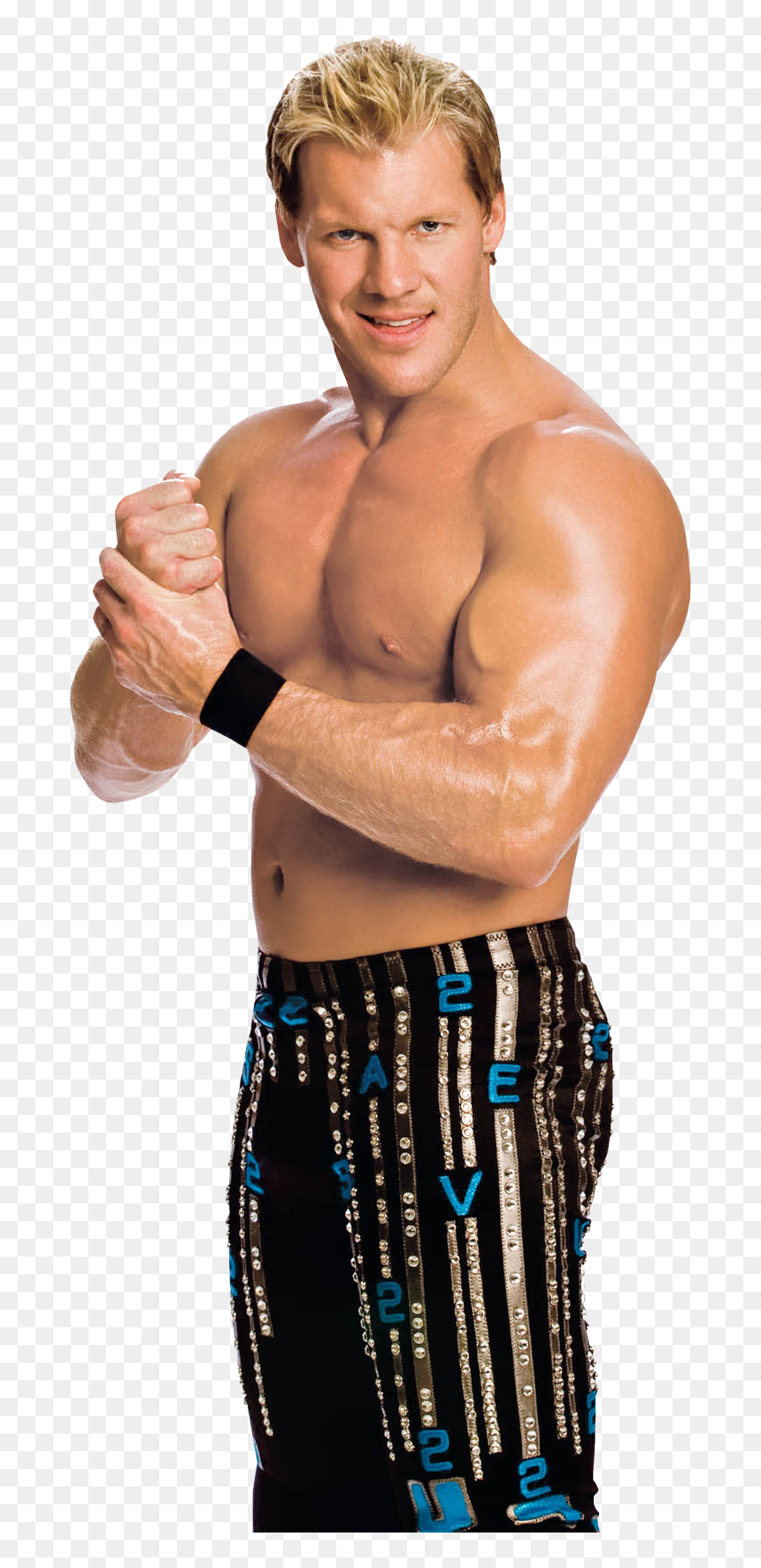 Wwe Chris Jericho , Png Download - Wwe Chris Jericho, Transparent Png - chris jericho png