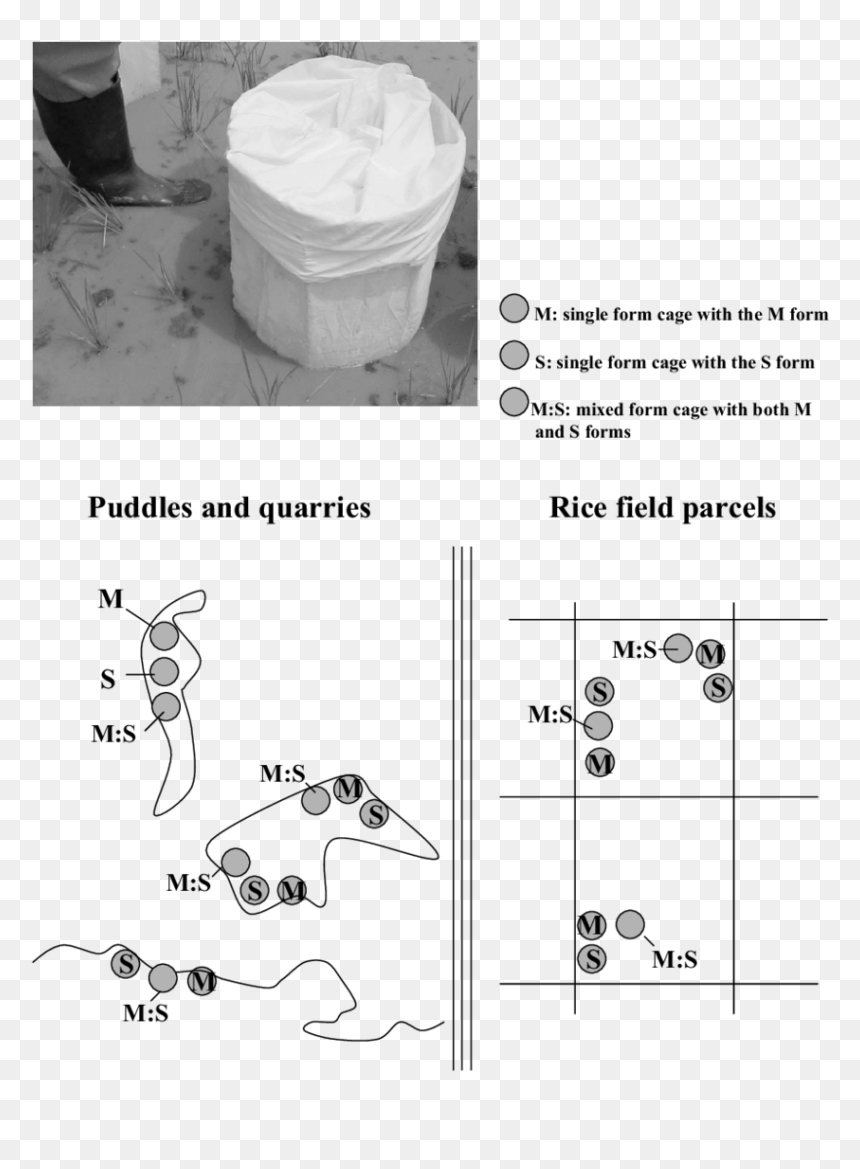Drawing, HD Png Download - blood puddle png