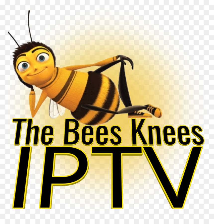 #iptv #streams #fhd #hd #m3u #deals #kodi The Best - Bees Knees Iptv, HD Png Download - kodi png