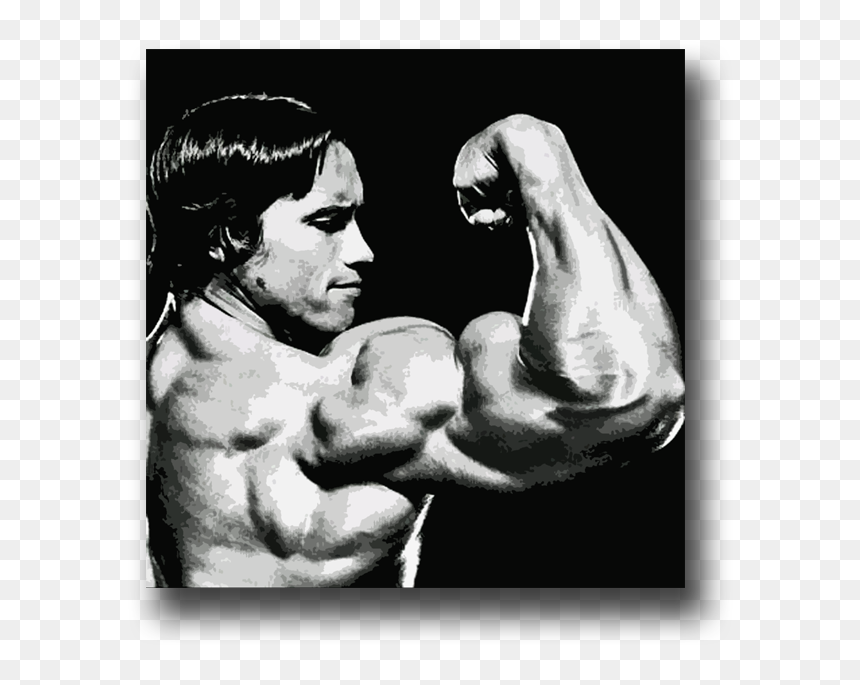 Image Of Arnold Schwarzenegger - Kastrupfort, HD Png Download - arnold schwarzenegger png