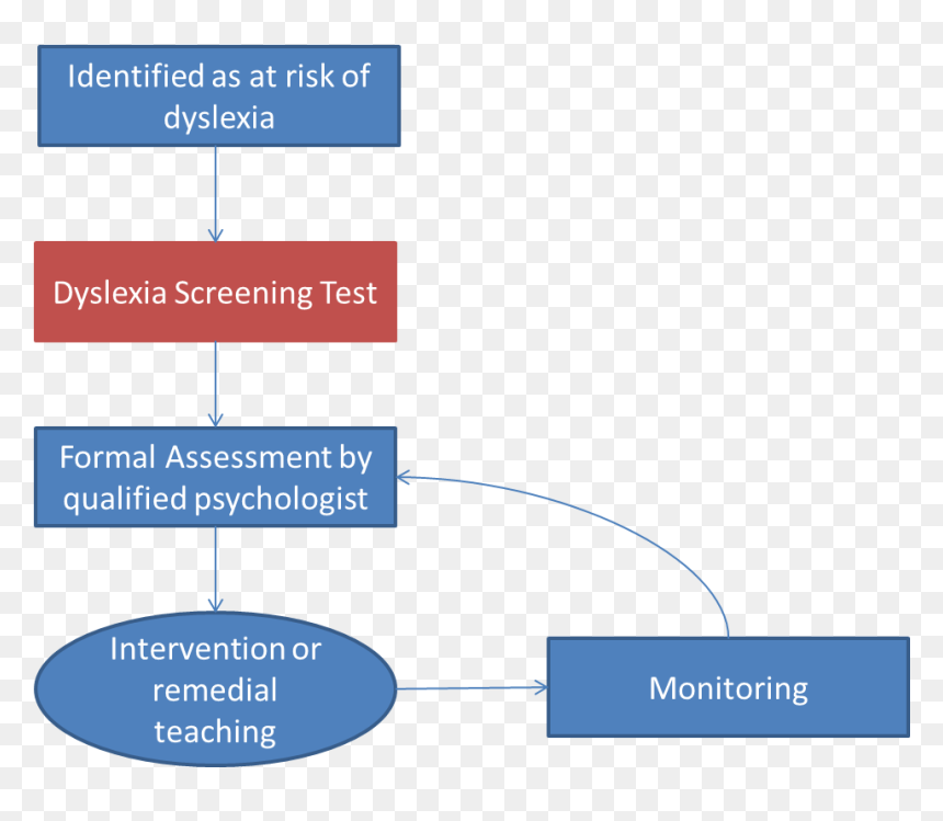 Assessment, Diagnosis And Intervention Cycle For Dyslexia - Cycle Of Diagnosis Assessment, HD Png Download - intervention png