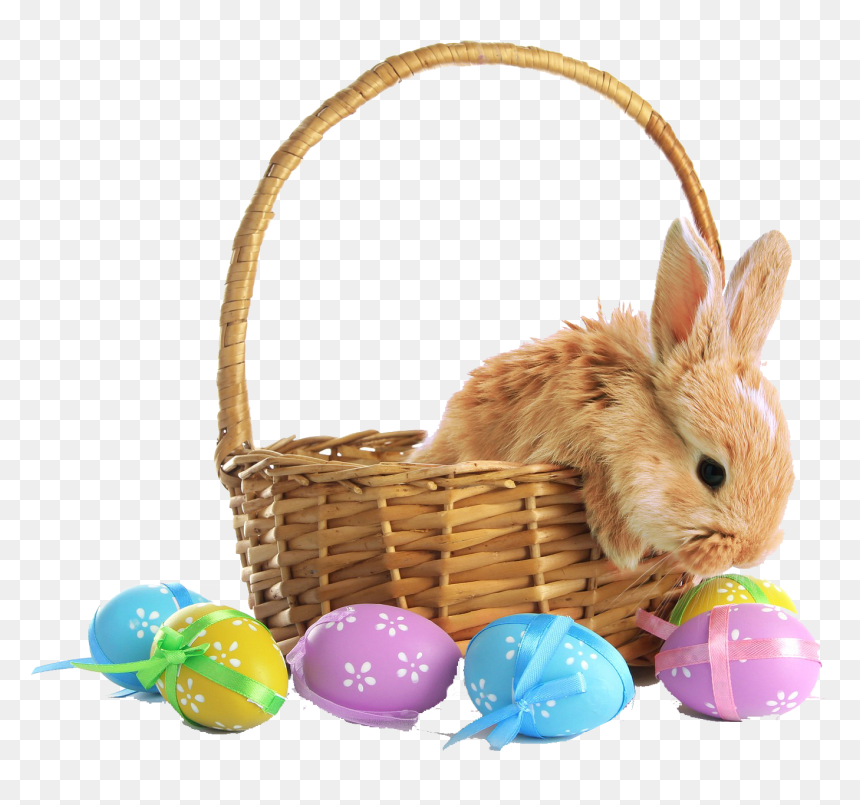 Easter Basket Png Photo Background, Transparent Png - easter basket png