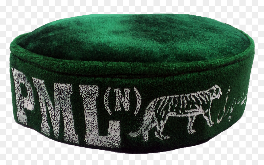 Pml Round Cap - Tiger, HD Png Download - dunce cap png
