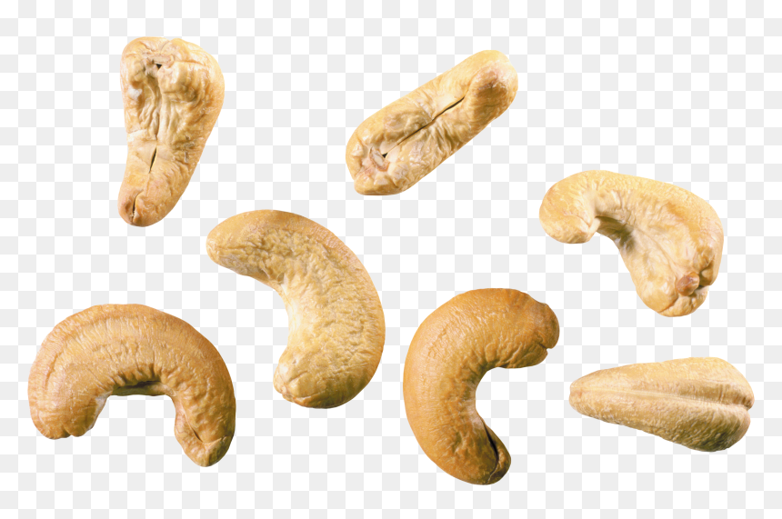 Cashew Nut Png - Transparent Background Cashew Png, Png Download - nuts png