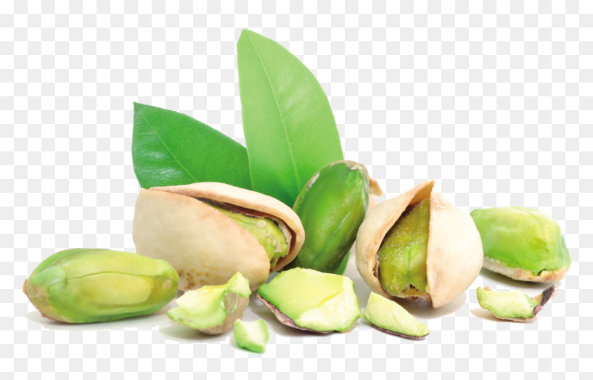 Nuts Clipart Pistachio - Pistachio Png, Transparent Png - nuts png