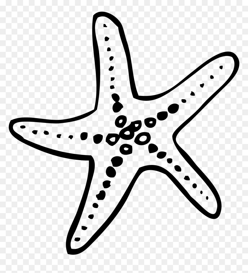 Francis Len Oasis Wedding - Starfish Doodle Png, Transparent Png - doodle png