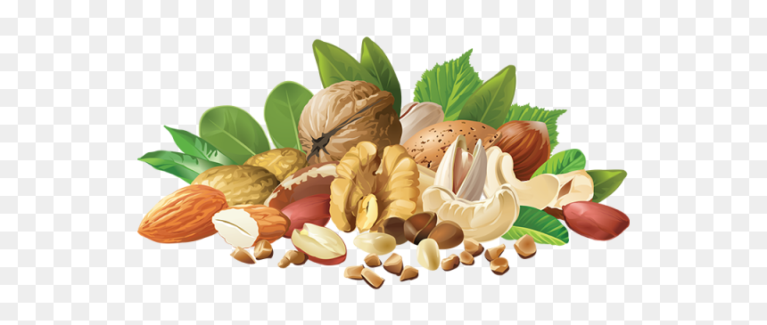 Realistic Different Nuts, Realistic Nuts, Different - Vector Nuts Png, Transparent Png - nuts png