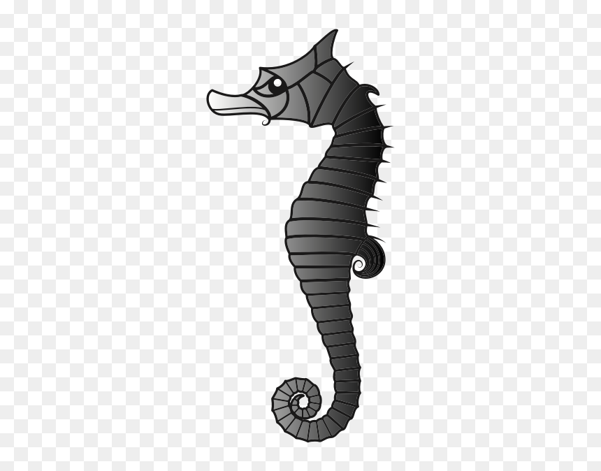 Seahorse-1574424895 - Seahorse Is Black Yellow And White, HD Png Download - seahorse png
