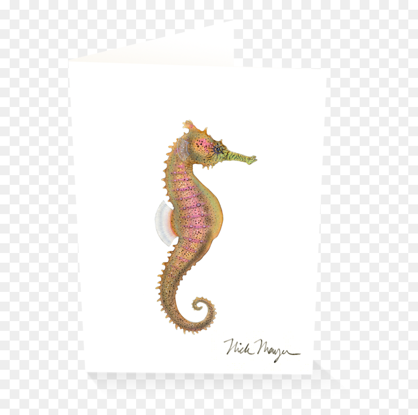Northern Seahorse , Png Download - Northern Seahorse, Transparent Png - seahorse png