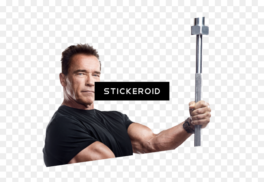 Strength Training , Png Download - Arnold Schwarzenegger Body Building, Transparent Png - arnold schwarzenegger png