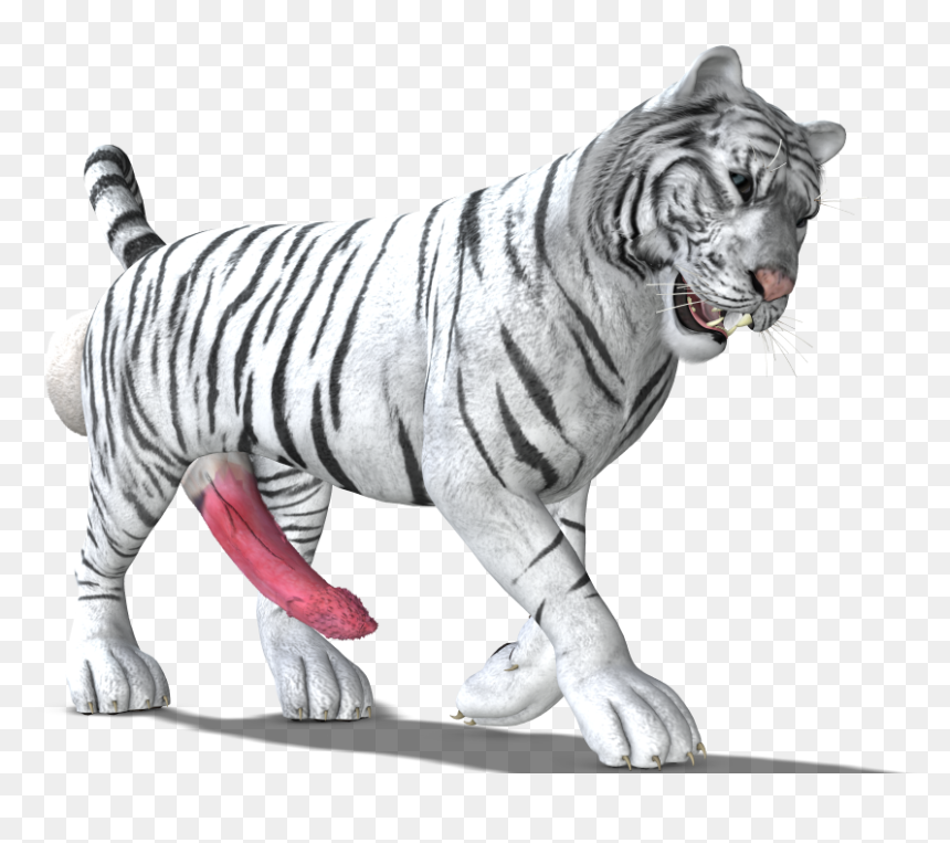 White Tiger - White Tiger Png, Transparent Png - white tiger png
