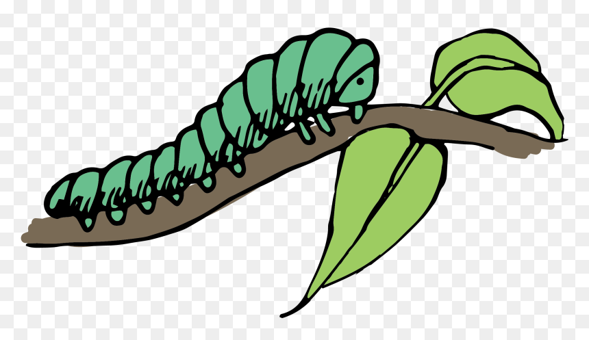Caterpillar Clip Art - Caterpillar On Branch Clipart, HD Png Download - caterpillar png