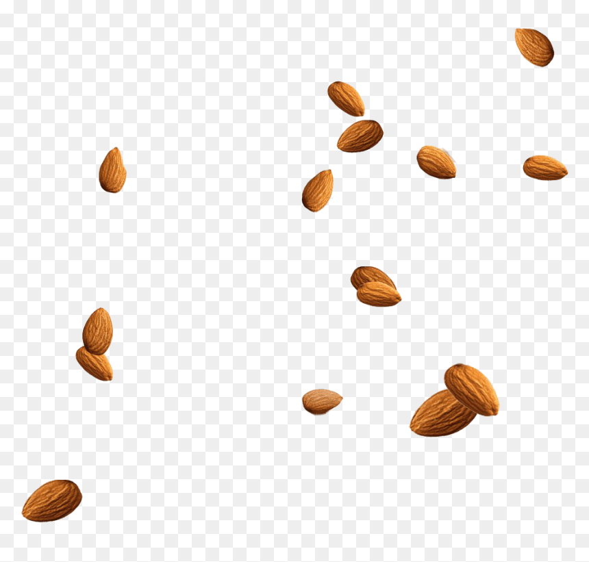 Almond Nuts Png Clipart - Almond Png, Transparent Png - nuts png