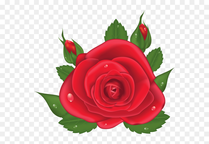 Imagens De Flores Vermelhas Png, Transparent Png - red roses png