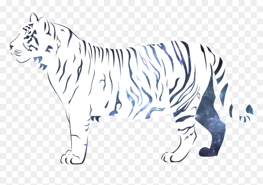 Wallpaper Album - White Tiger, HD Png Download - white tiger png