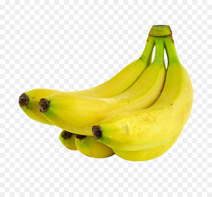 Saba Banana, HD Png Download - bananas png