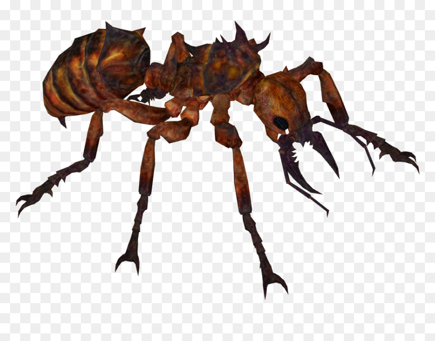 Thumb Image - Giant Ant Png, Transparent Png - ant png
