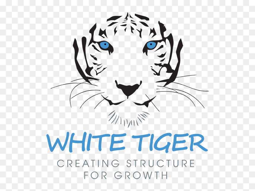 Transparent White Tiger Png - Cartoon Tiger At Christmas, Png Download - white tiger png