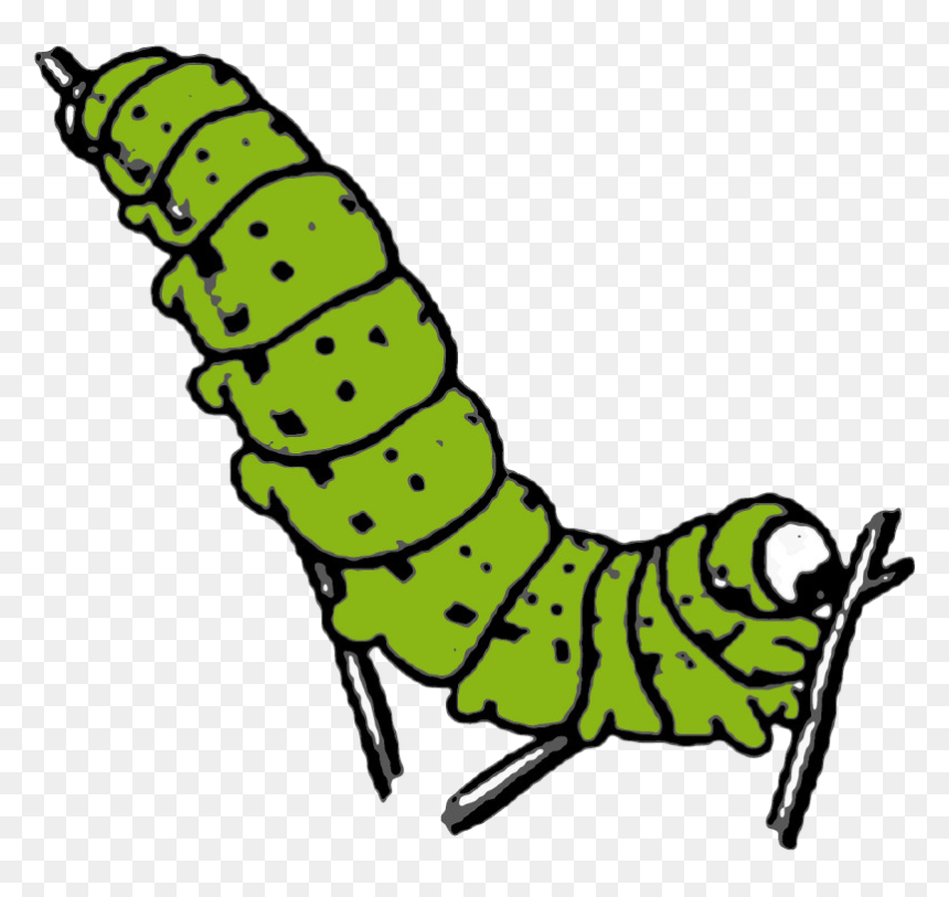 Caterpillar Png Photo Background - Free Clip Art Caterpillar, Transparent Png - caterpillar png