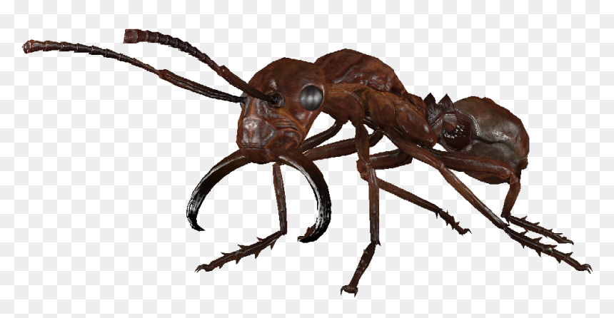 Dlc04 Encradant02smallred - Soldier Ant, HD Png Download - ant png