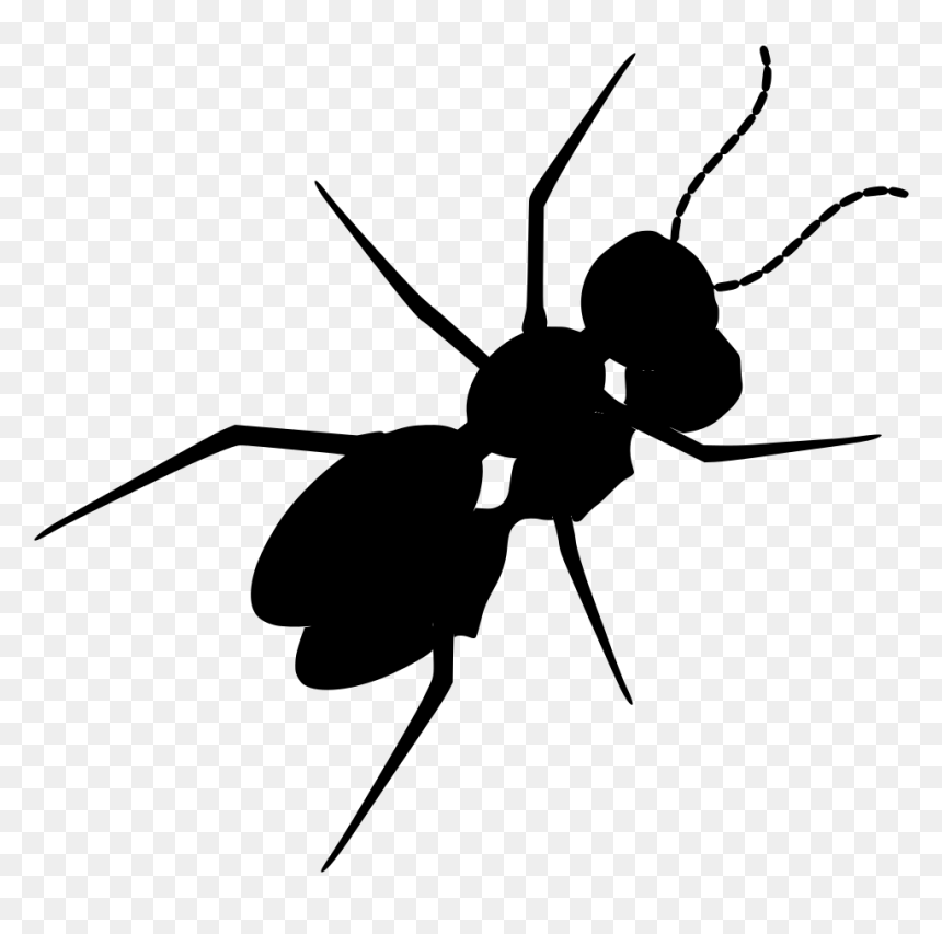 Ant , Png Download - Insect, Transparent Png - ant png