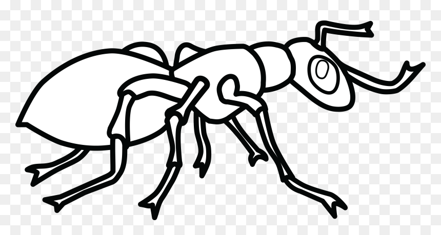 Free Clipart Of An Ant Free - Ant Clipart Black And White, HD Png Download - ant png