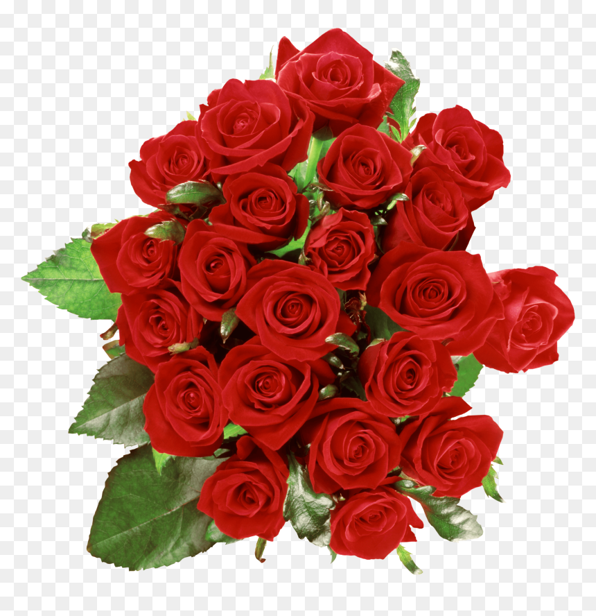 Bouquet Of Roses - Bouquet Of Roses Transparent, HD Png Download - rosas png