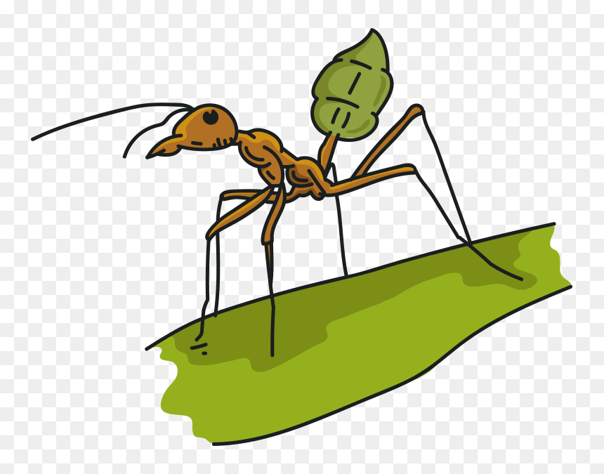 Sauna Clipart Ant, HD Png Download - ant png