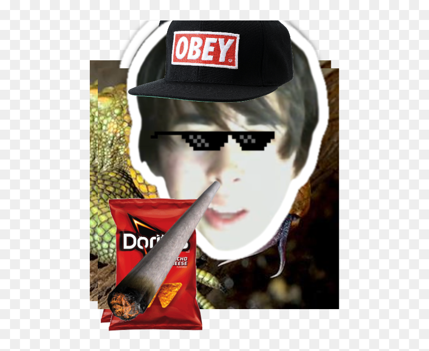 Obey Snapback Hats, HD Png Download - leafyishere png