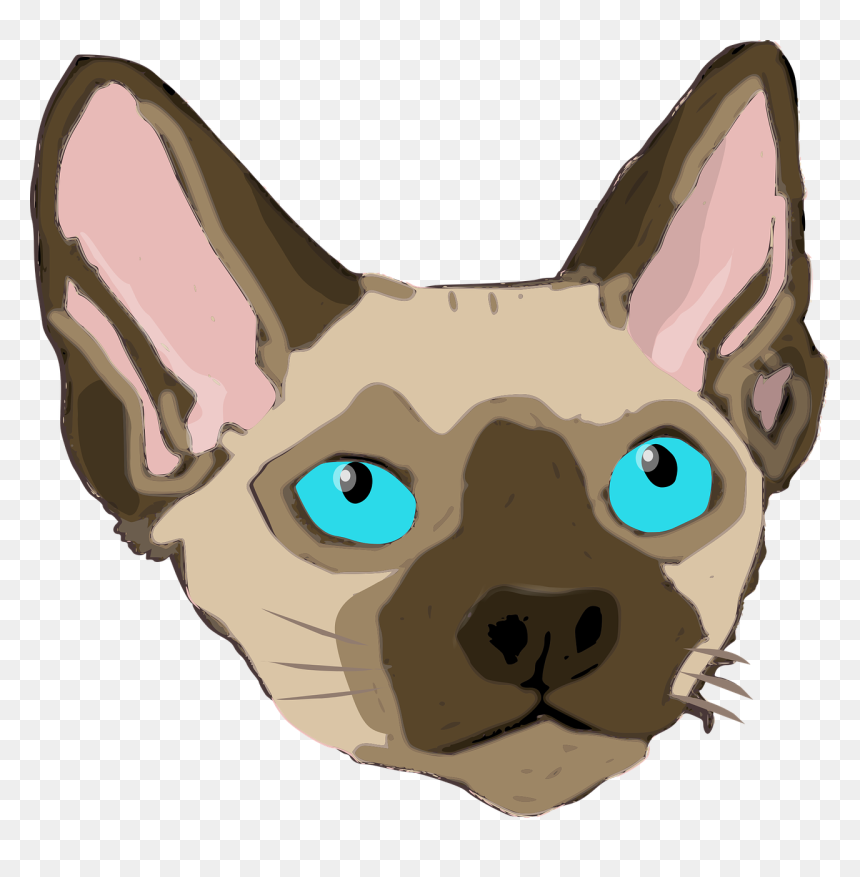 Schwarze Sphynx Blaue Augen, HD Png Download - cat ears png