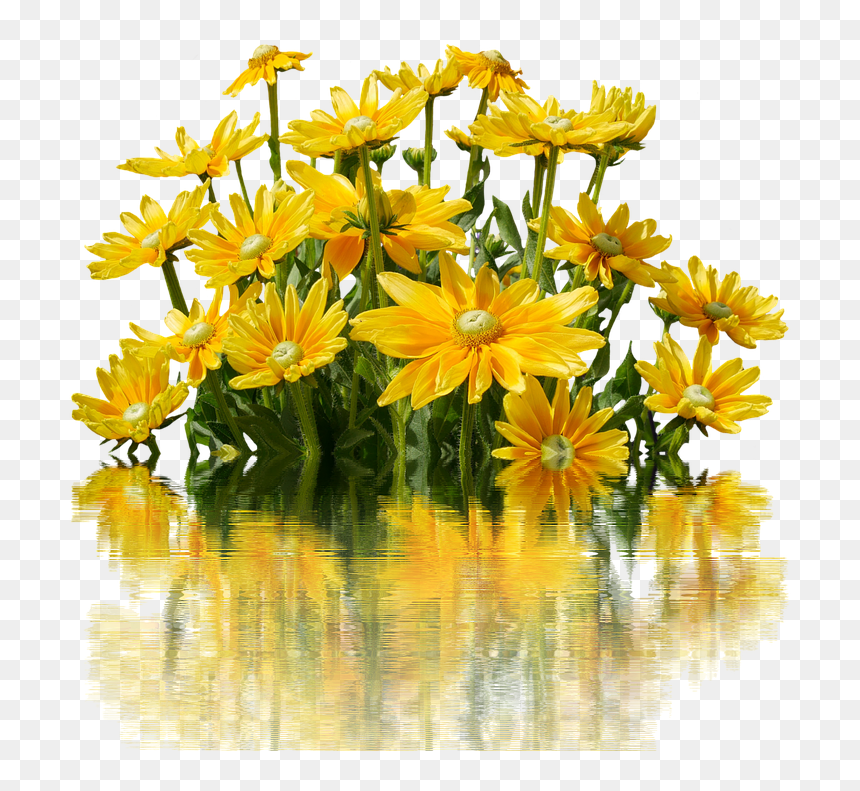 Transparent Yellow Flowers Png - Nature Flowers Bunch Png, Png Download - yellow flowers png