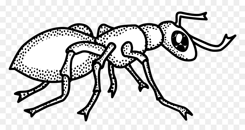 Lineart Clip Arts - Black And White Ant Clip Art, HD Png Download - ant png